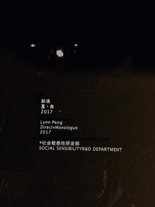 Peng Lynn 彭浪 / Social Sensibility R&D Department